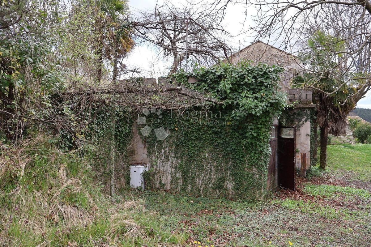 Senzacionalno zemljišče velikosti 115.000 m² v Istri 