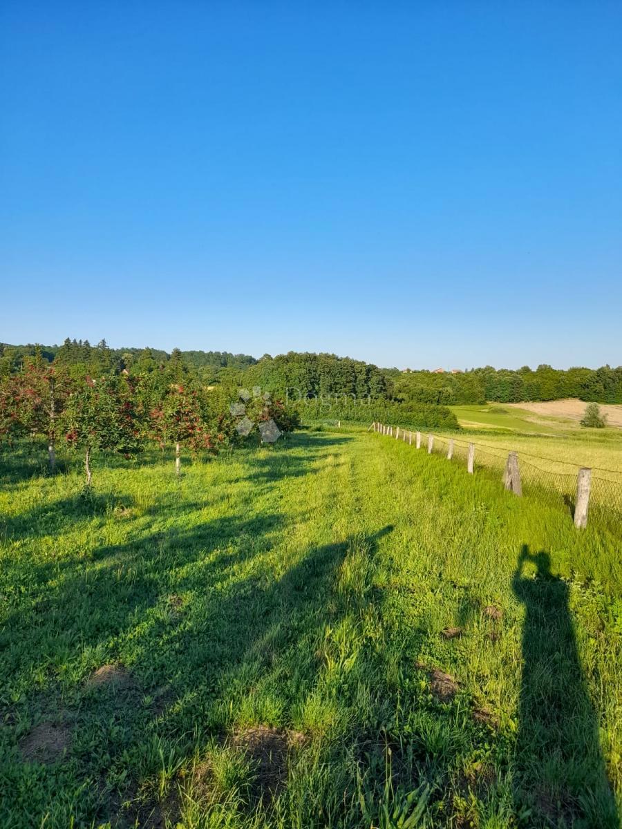 Zemljišče Gradište, Kutjevo, 26.705m2