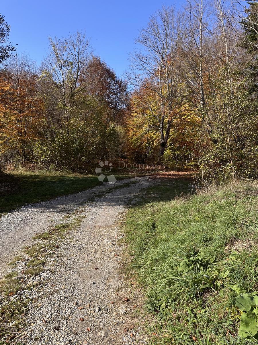 Zemljišče Brušane, Gospić - Okolica, 3.000m2