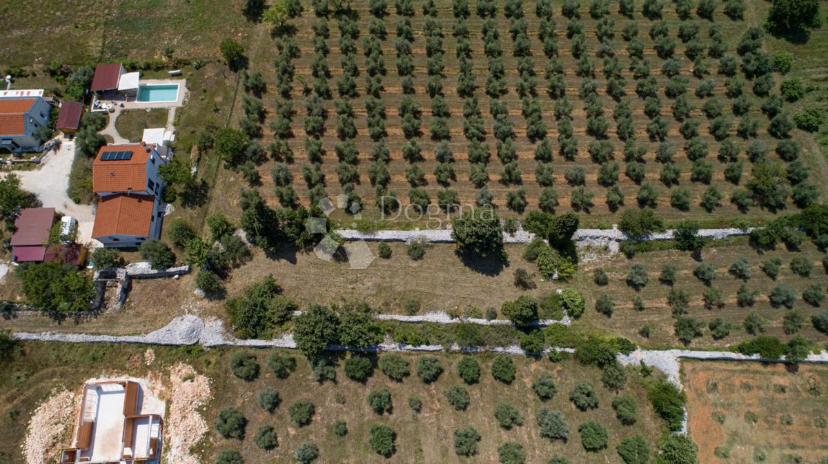 Gradbeno zemljišče z oljčnim nasadom v bližini Vodnjana, Istra