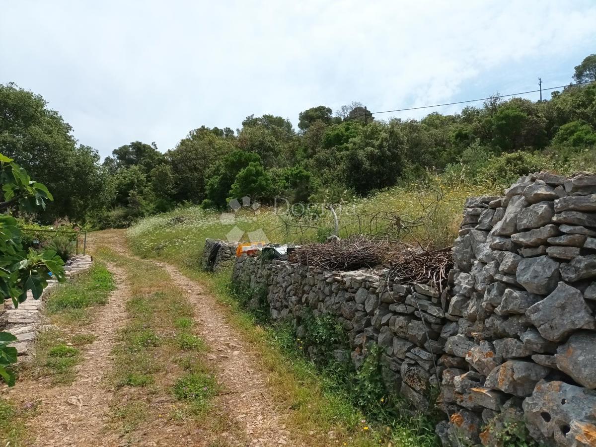 Kmetijsko zemljišče Dračevo Polje, Vis, 6.207m2