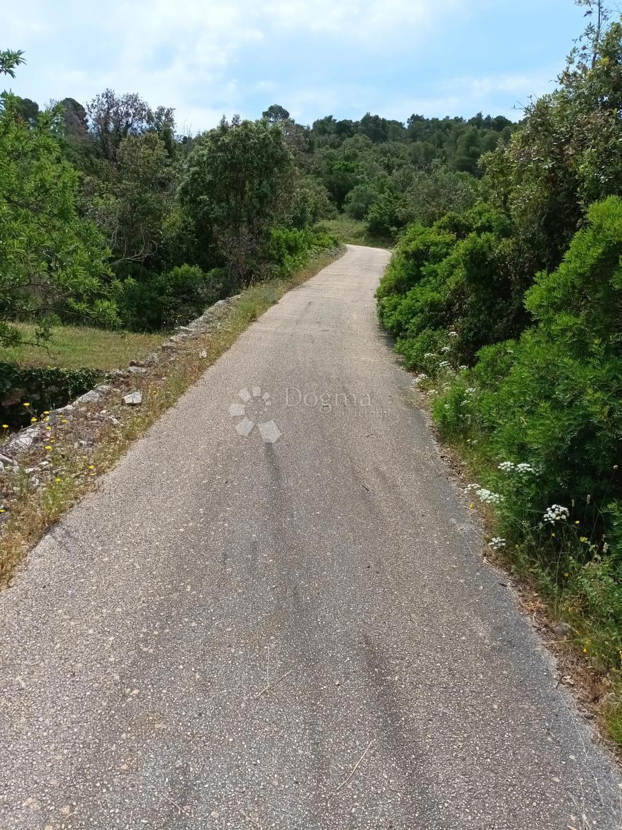 Kmetijsko zemljišče Dračevo Polje, Vis, 6.207m2