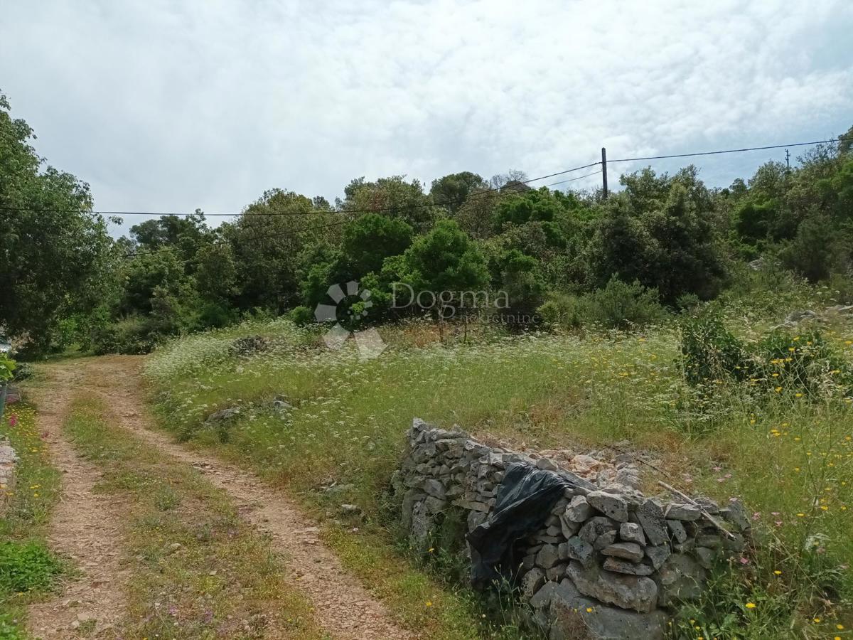 Kmetijsko zemljišče Dračevo Polje, Vis, 6.207m2