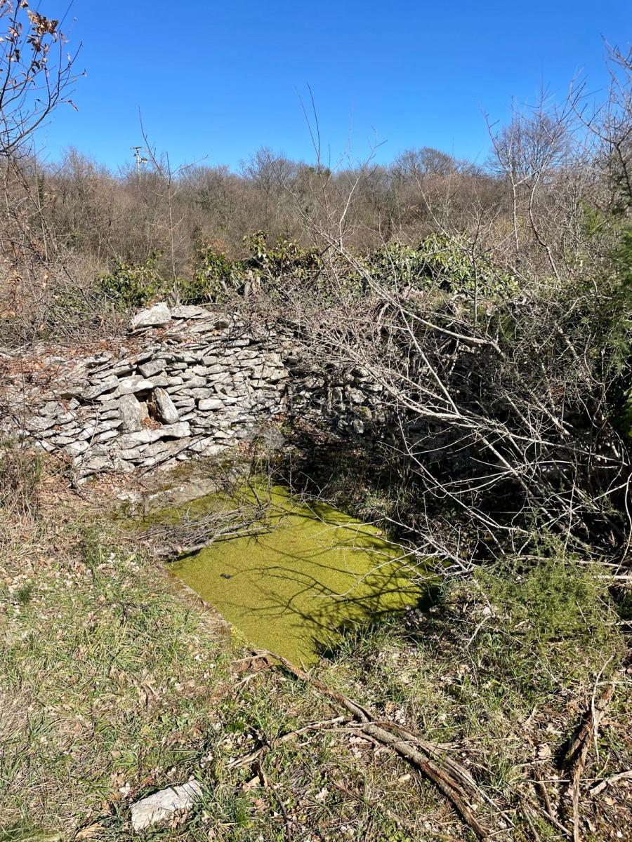 Kmetijsko zemljišče Juršići, Svetvinčenat, 1.539m2