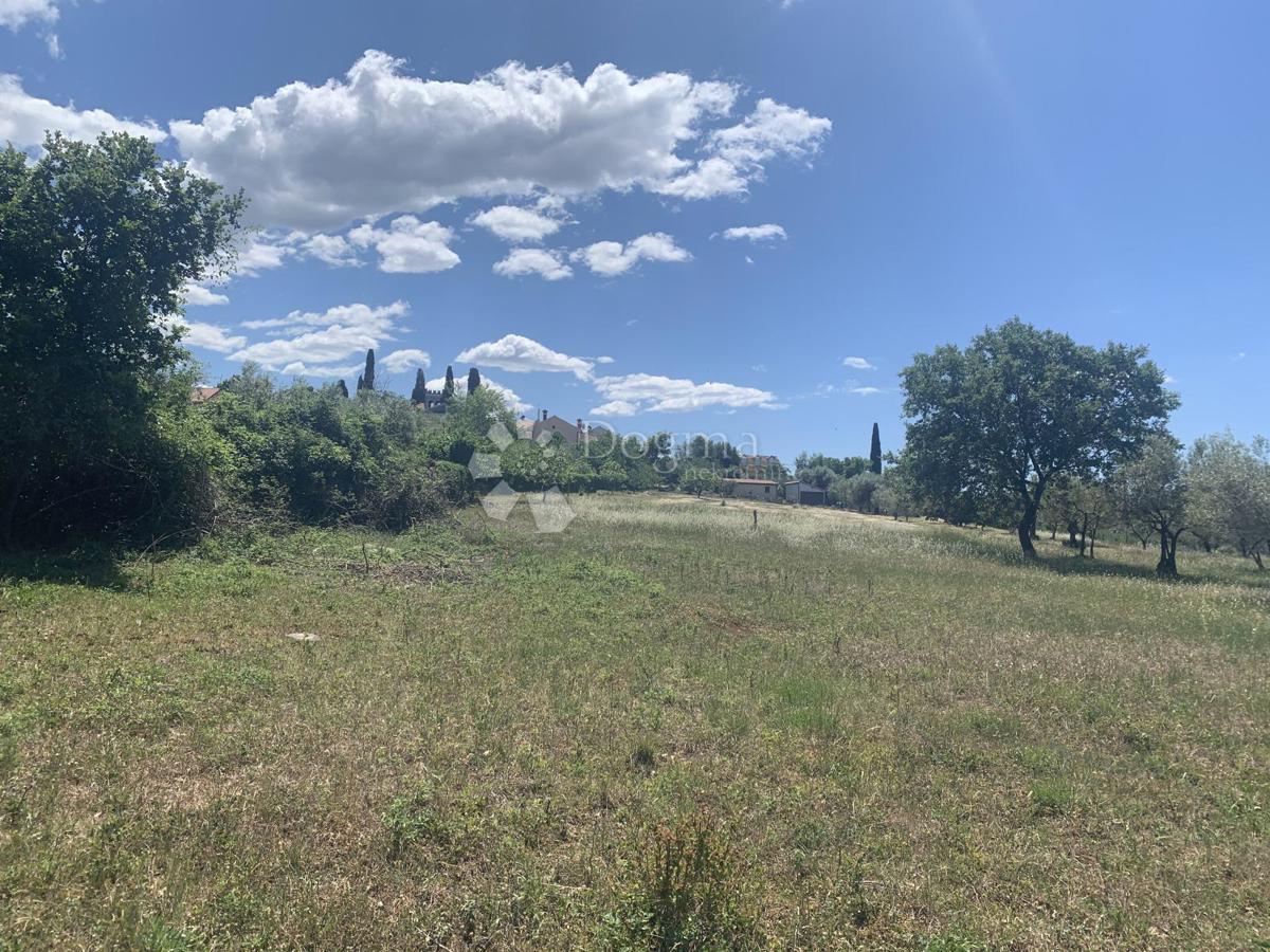 Zazidljivo zemljišče Buje, 8.690m2