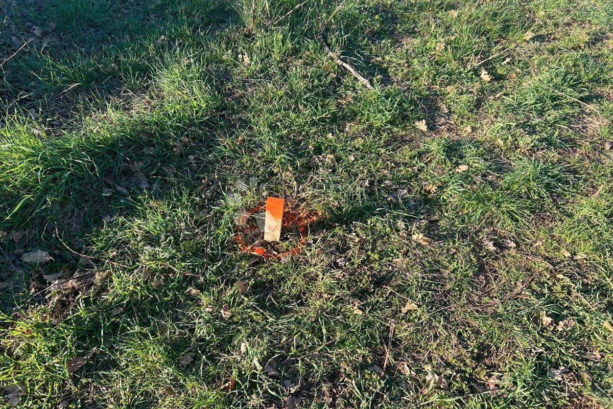Zazidljivo zemljišče Vodnjan, 481m2