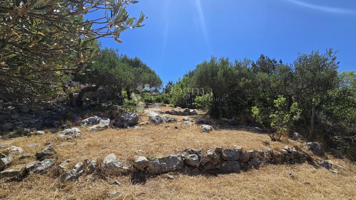 Kmetijsko zemljišče Ložišća, Milna, 8.500m2