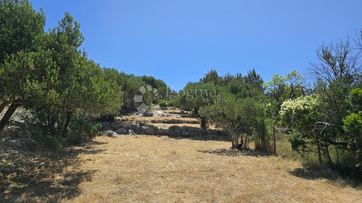 Kmetijsko zemljišče Ložišća, Milna, 8.500m2