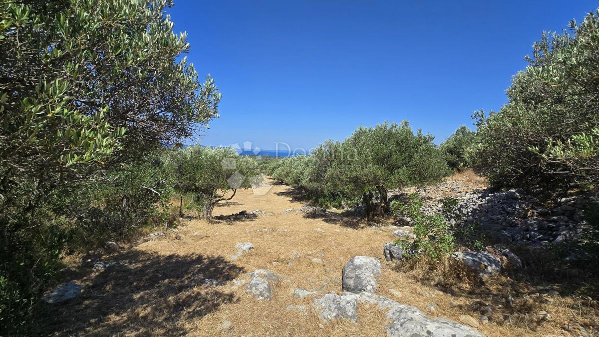 Kmetijsko zemljišče Ložišća, Milna, 8.500m2