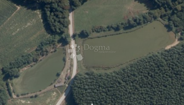 Kmetijsko zemljišče Prnjavor Lepavinski, Sokolovac, 16.522m2