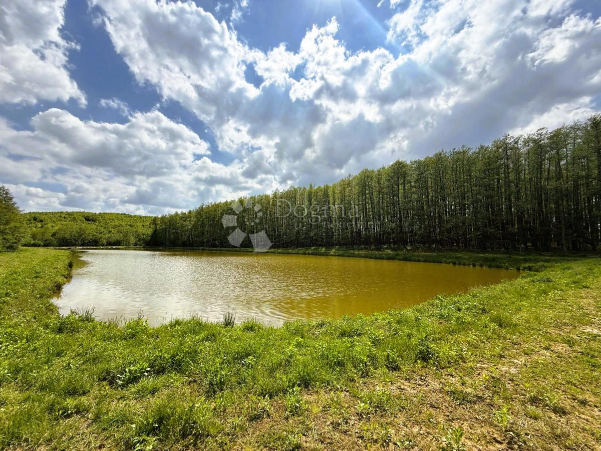 Kmetijsko zemljišče Prnjavor Lepavinski, Sokolovac, 16.522m2