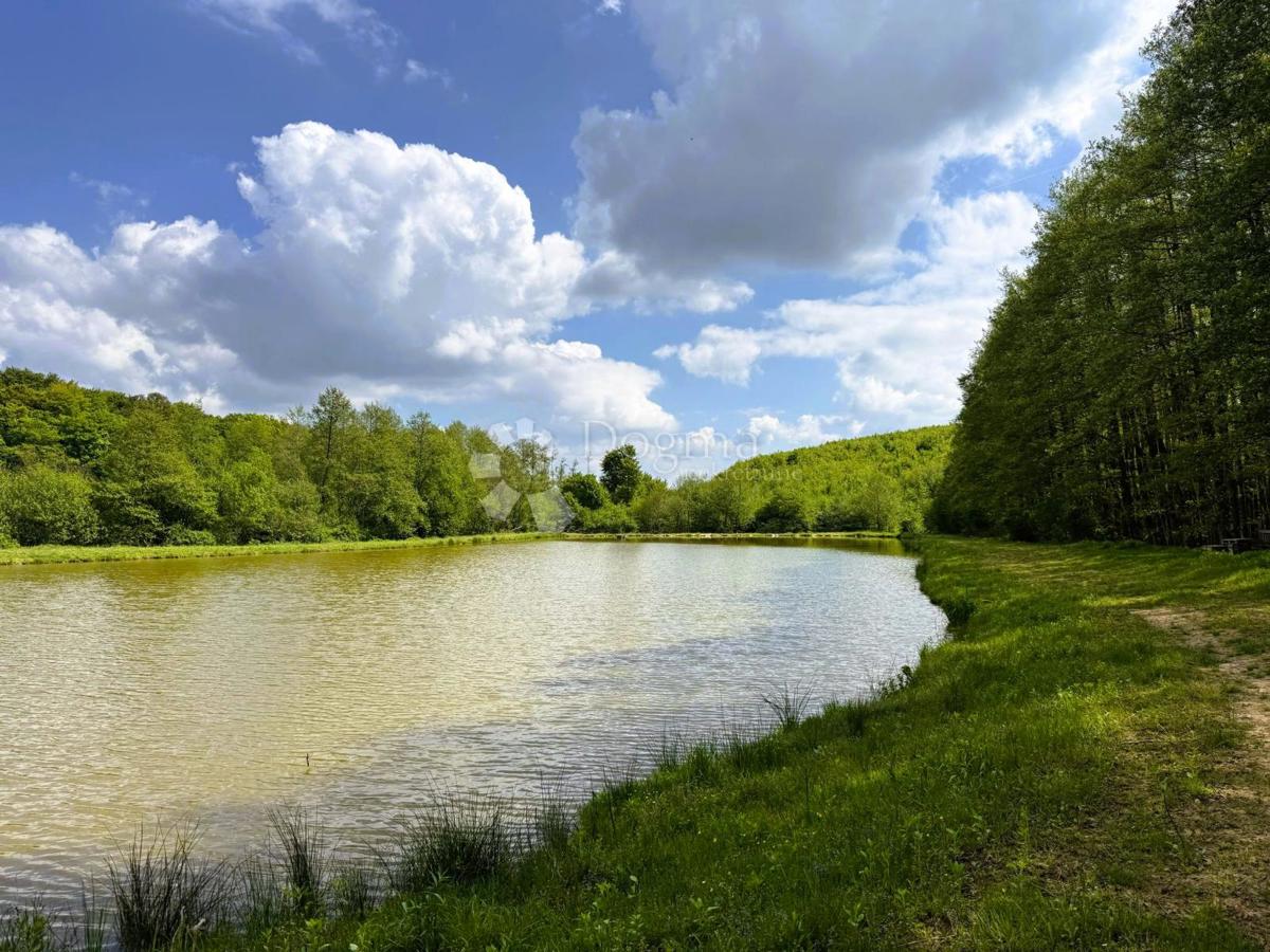 Kmetijsko zemljišče Prnjavor Lepavinski, Sokolovac, 16.522m2