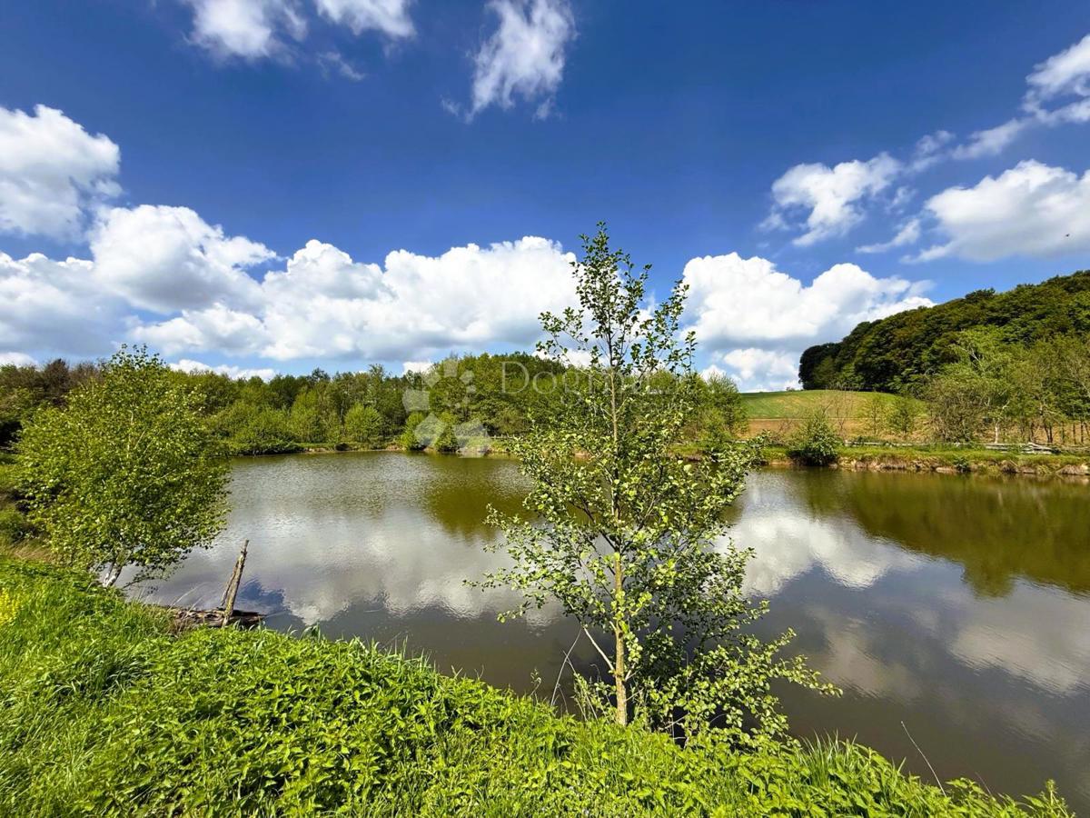 Kmetijsko zemljišče Prnjavor Lepavinski, Sokolovac, 16.522m2