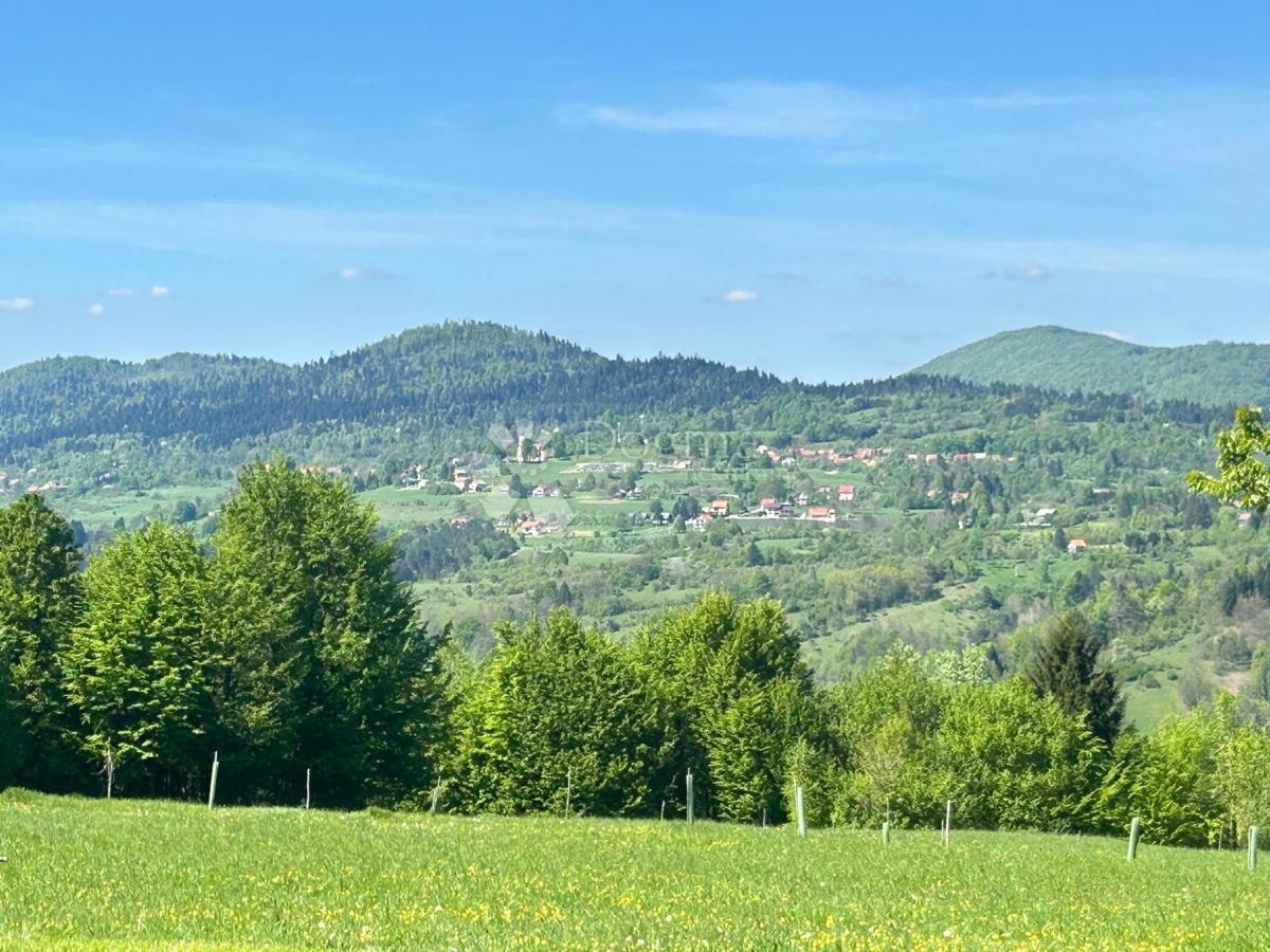 Hiša Komlenići, Vrbovsko, 250m2