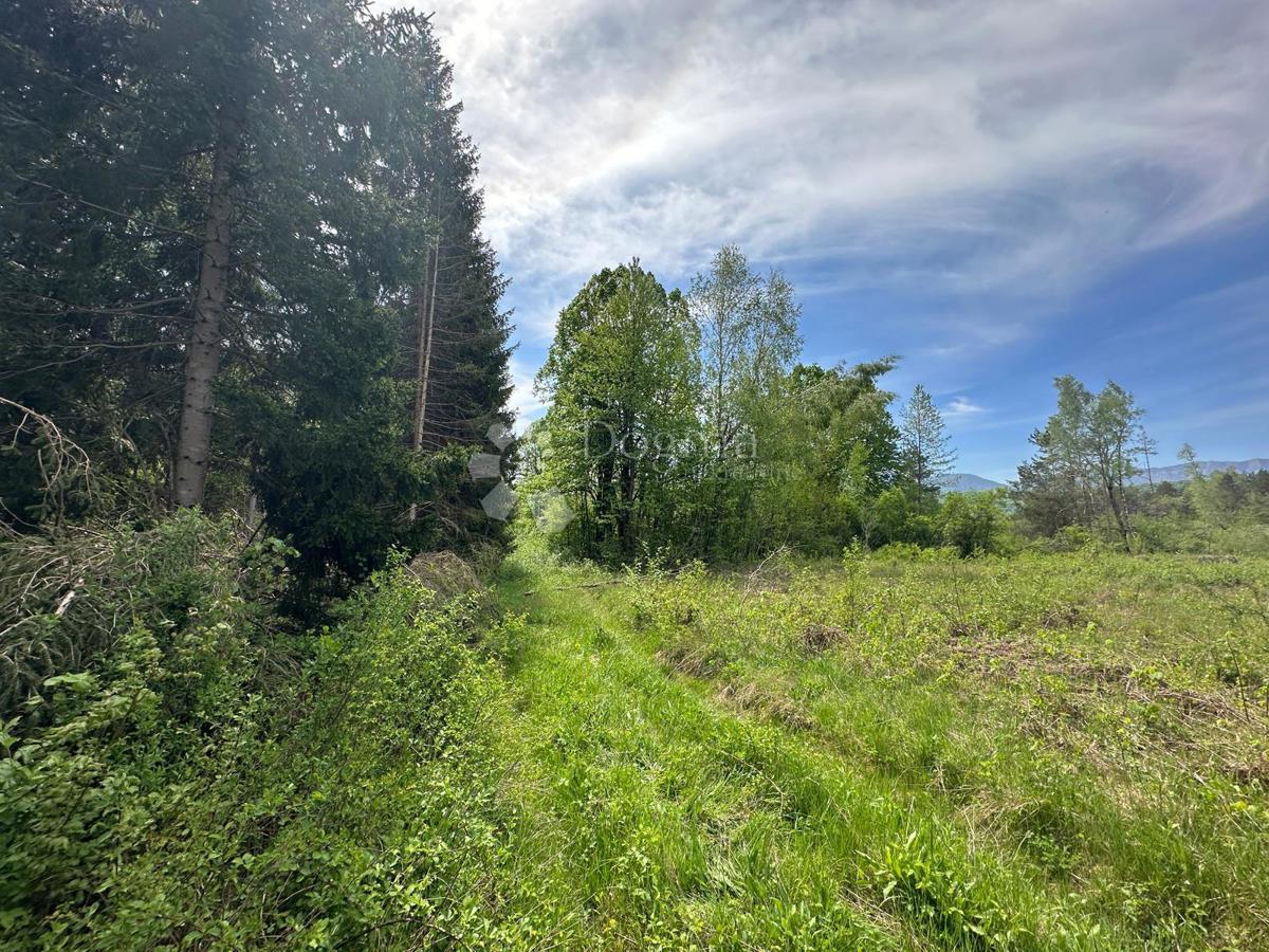 Zazidljivo zemljišče Divoselo, Gospić - Okolica, 12.000m2
