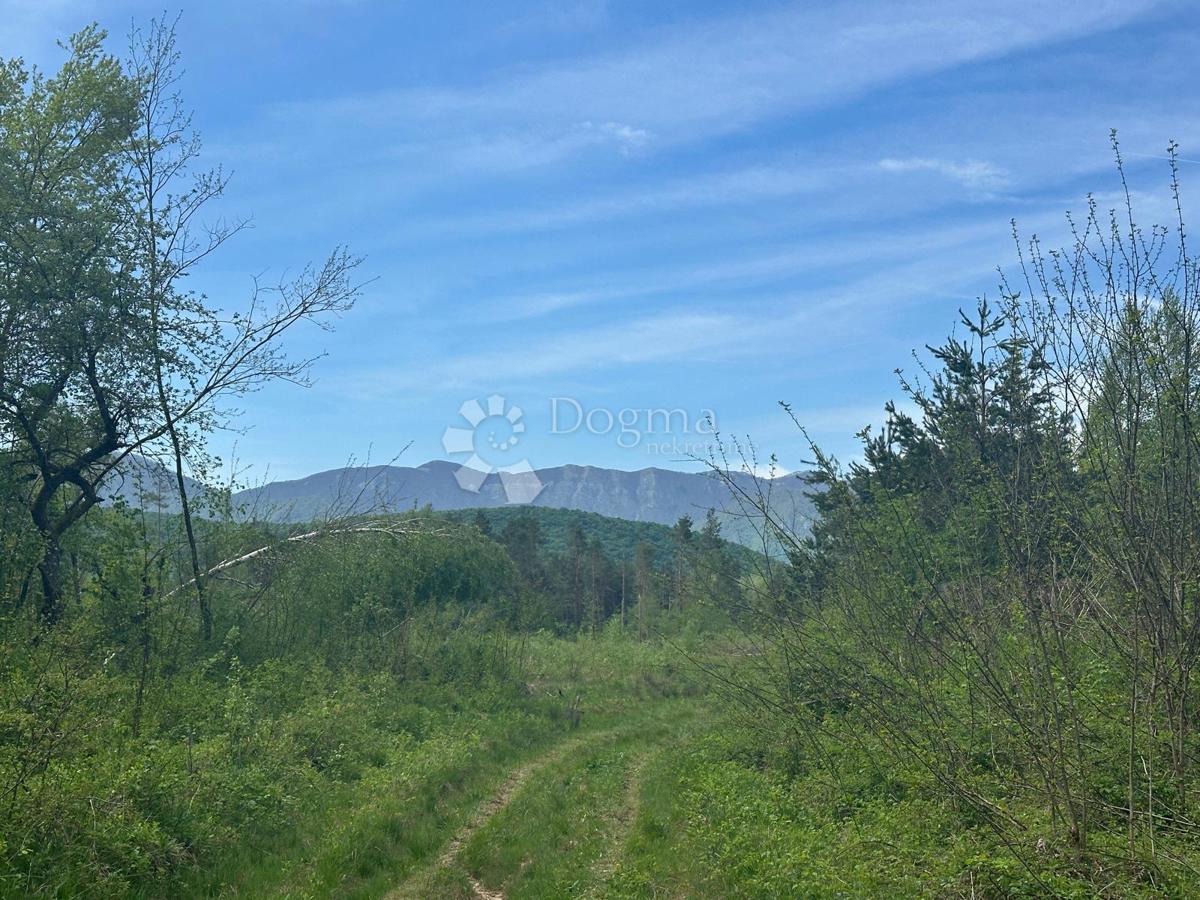Zazidljivo zemljišče Divoselo, Gospić - Okolica, 12.000m2