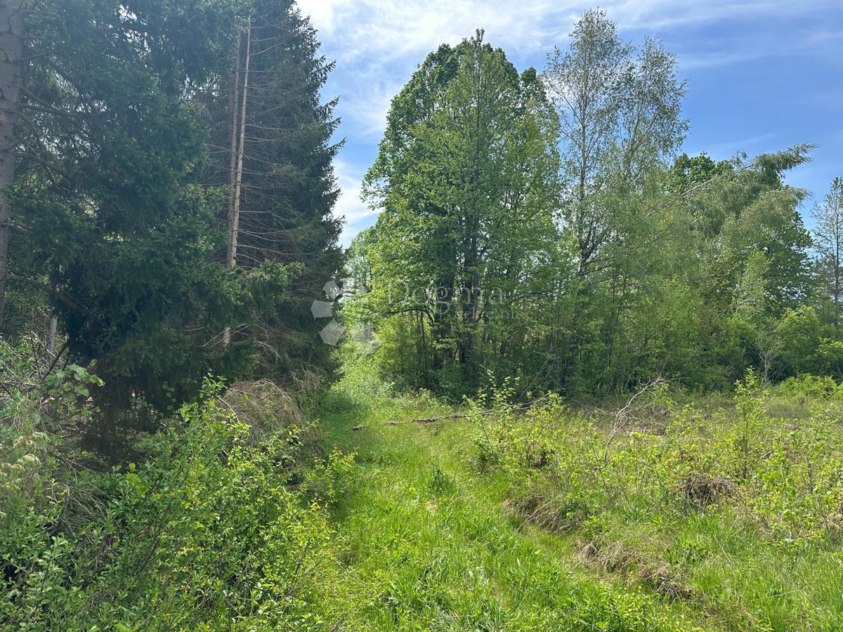 Zazidljivo zemljišče Divoselo, Gospić - Okolica, 12.000m2