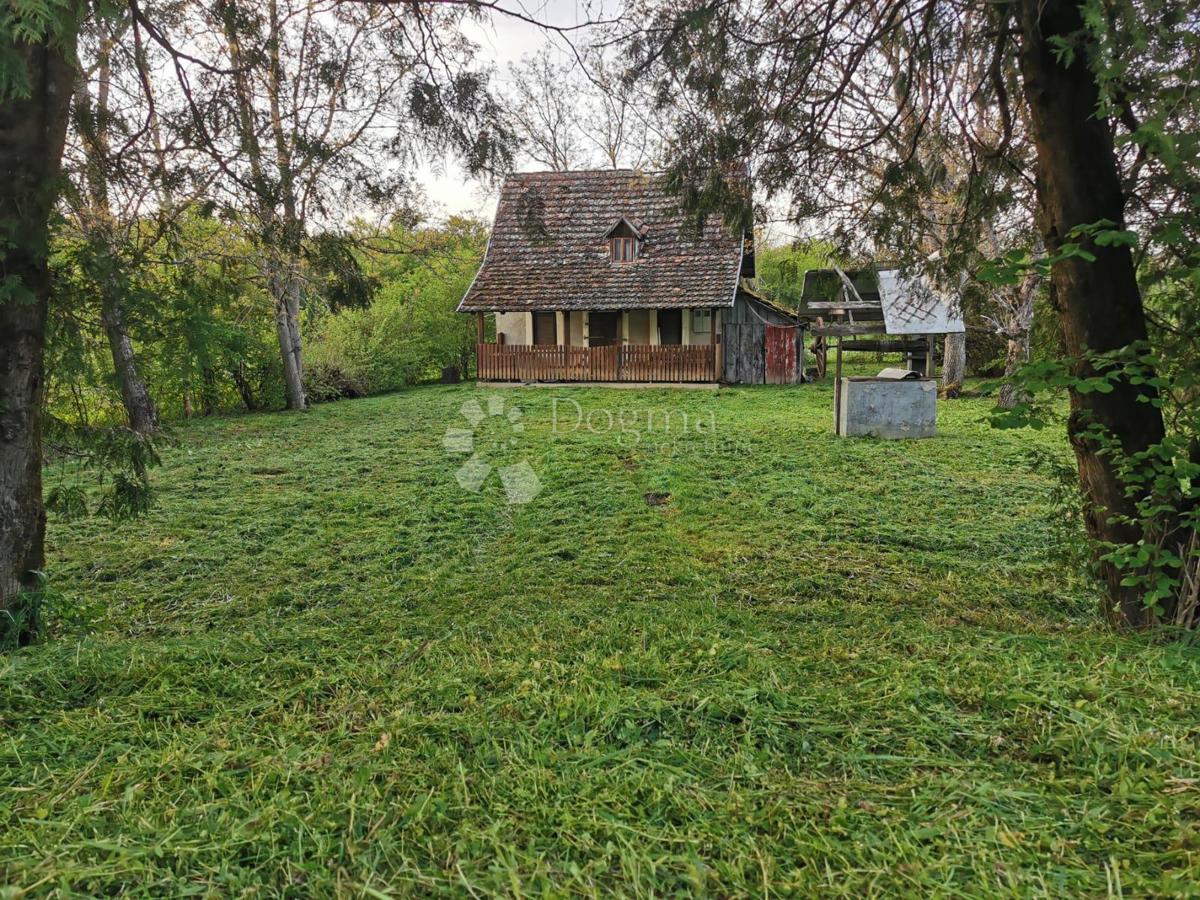 Hiša Lonja, Sisak - Okolica, 48m2