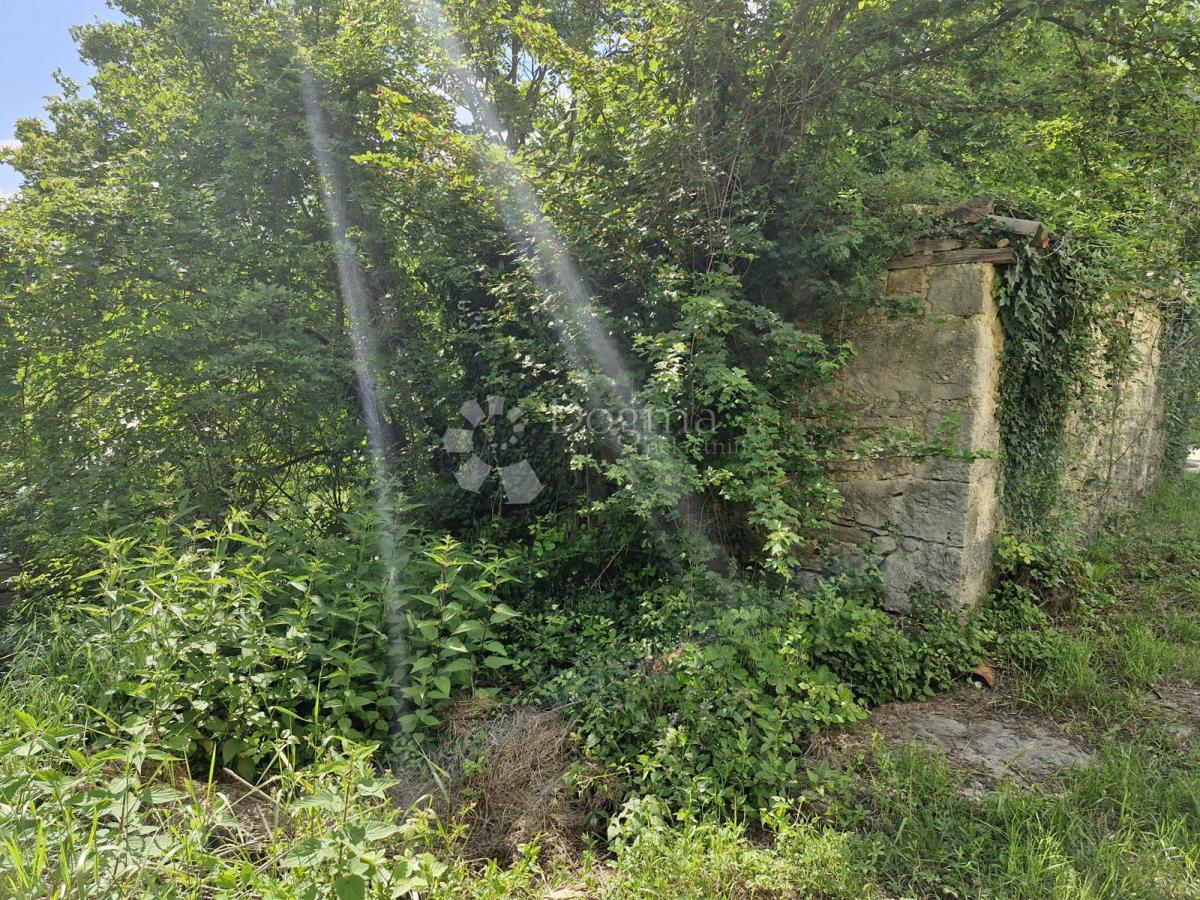 Hiša Buzet, 300m2