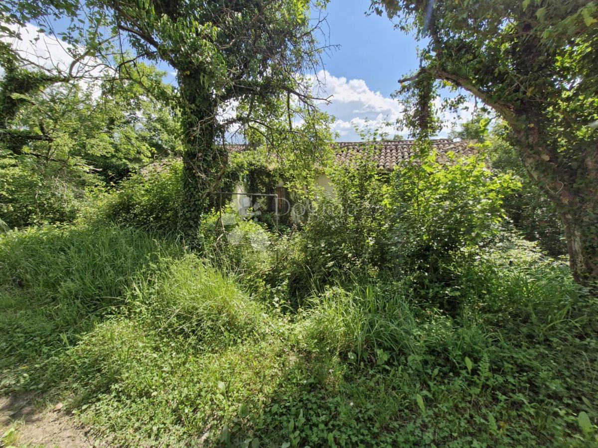Hiša Buzet, 300m2
