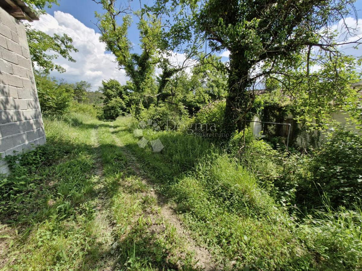 Hiša Buzet, 300m2