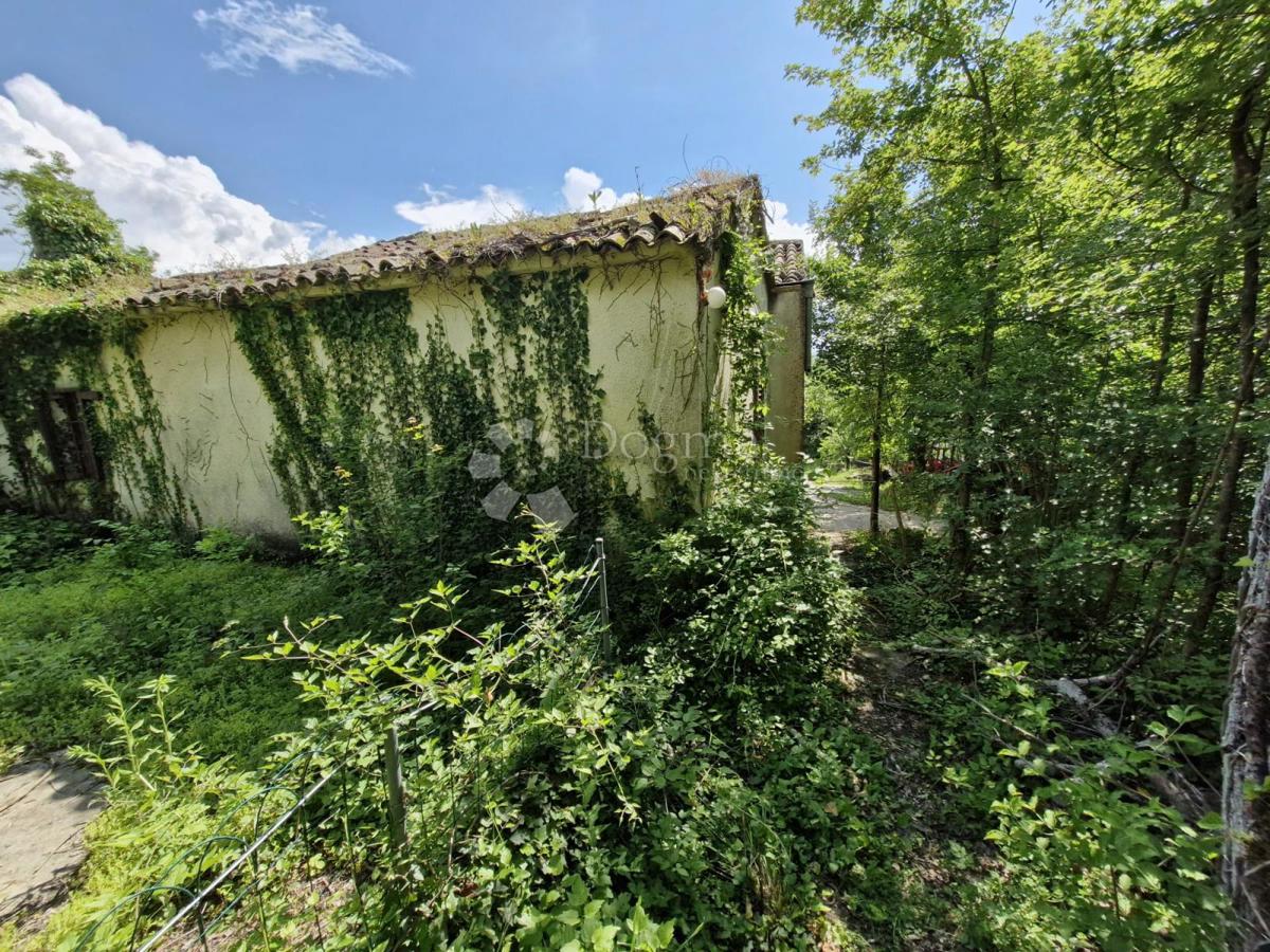 Hiša Buzet, 300m2