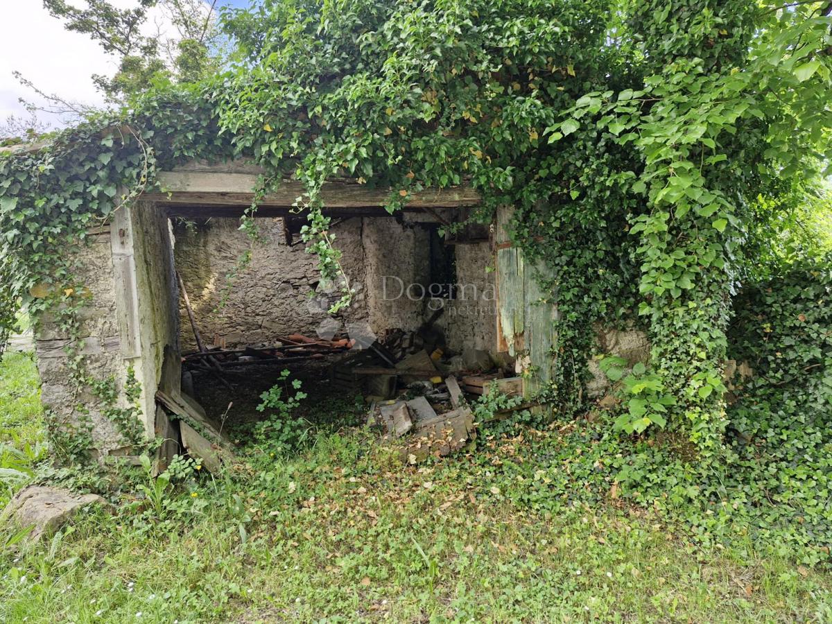 Hiša Buzet, 300m2
