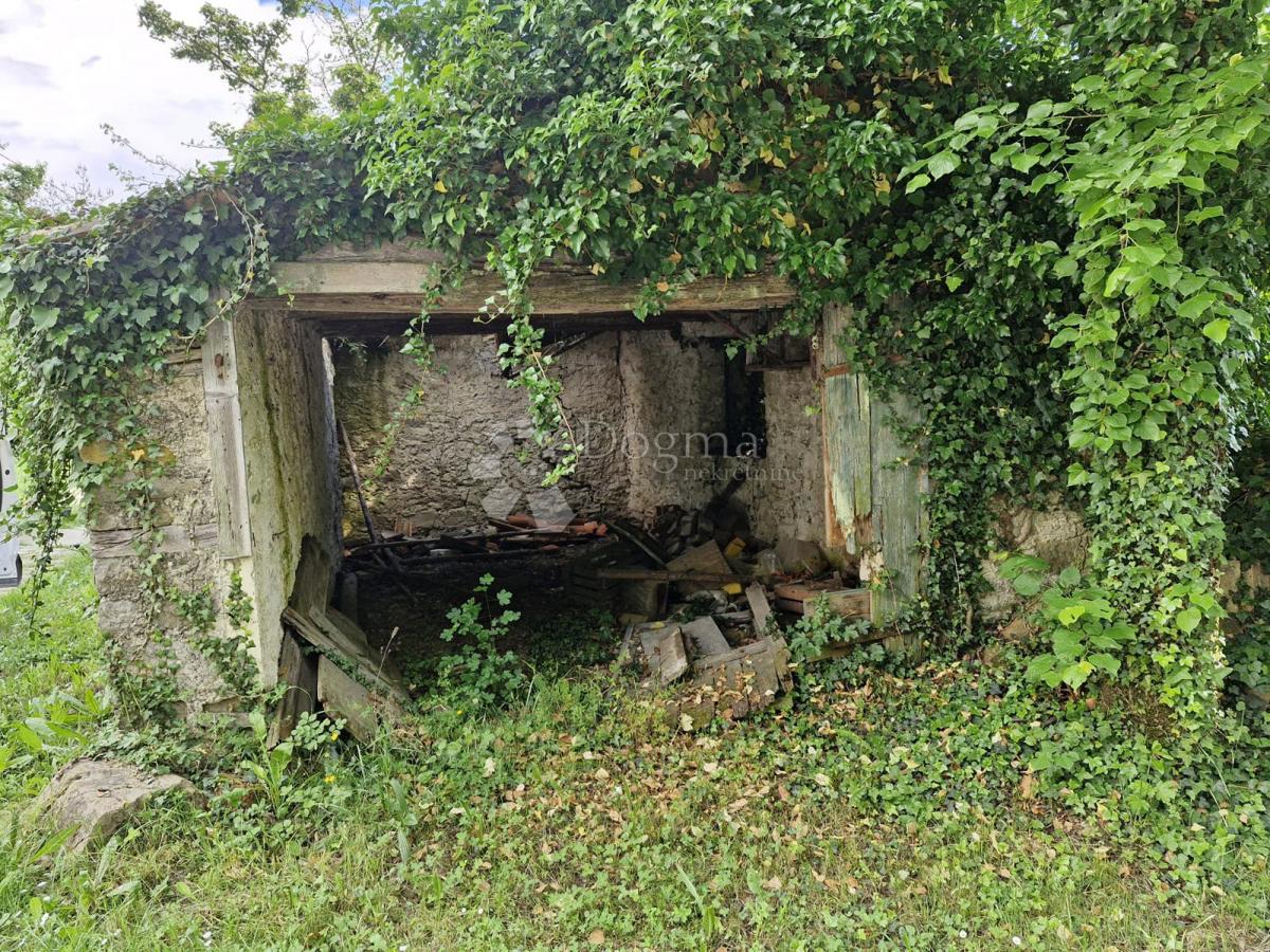 Hiša Buzet, 300m2