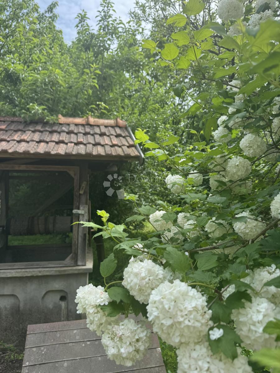 Hiša Donja Kovačica, Veliki Grđevac, 165m2