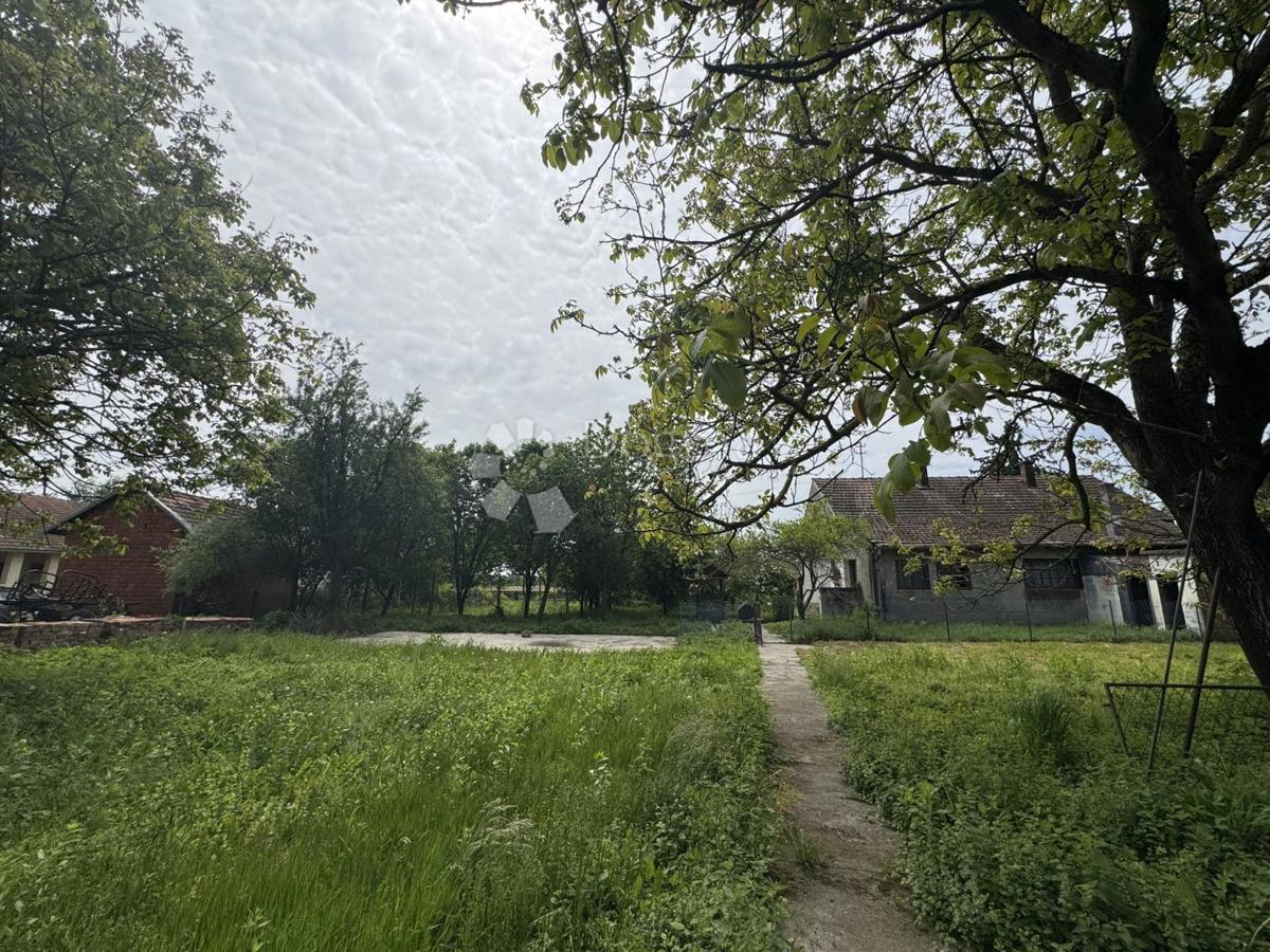 Hiša Donja Kovačica, Veliki Grđevac, 165m2