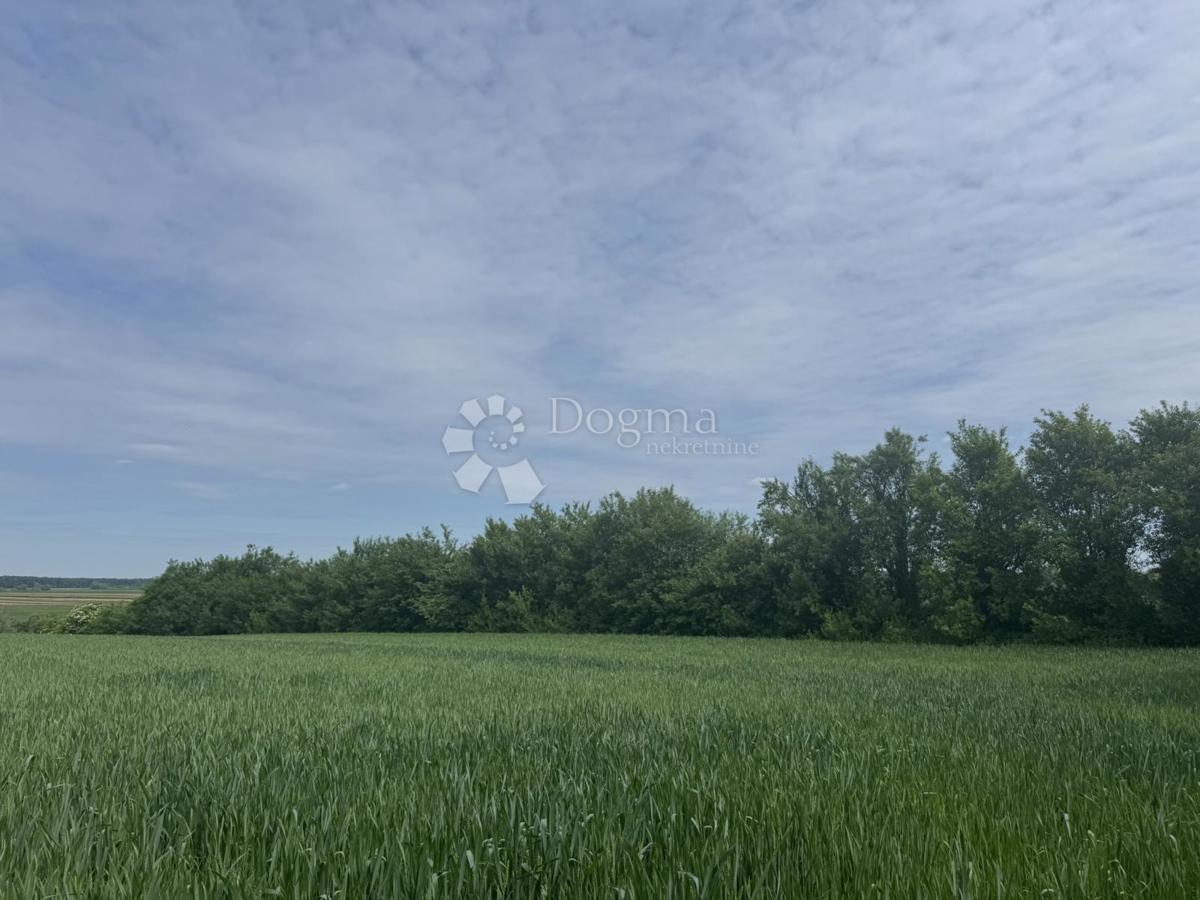 Hiša Donja Kovačica, Veliki Grđevac, 165m2