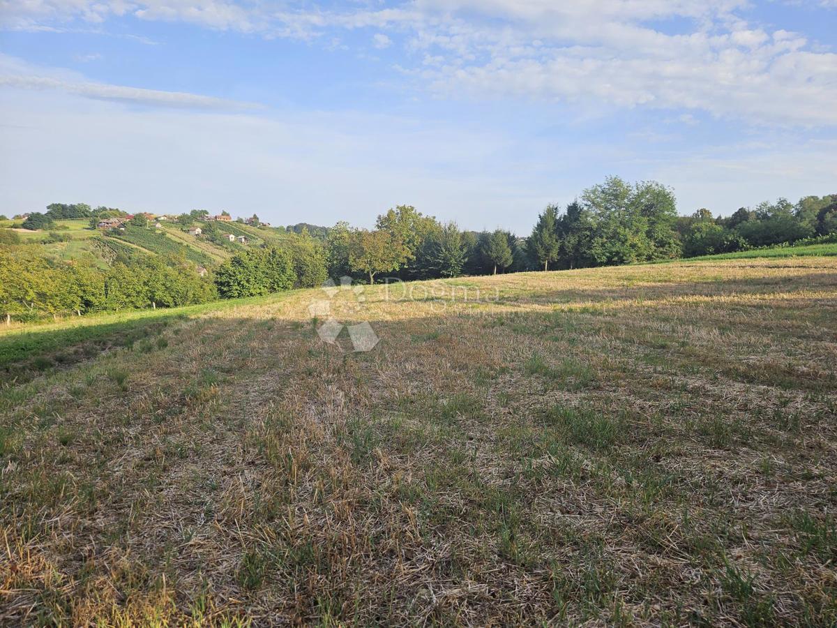 Zazidljivo zemljišče Beretinec, 5.396m2