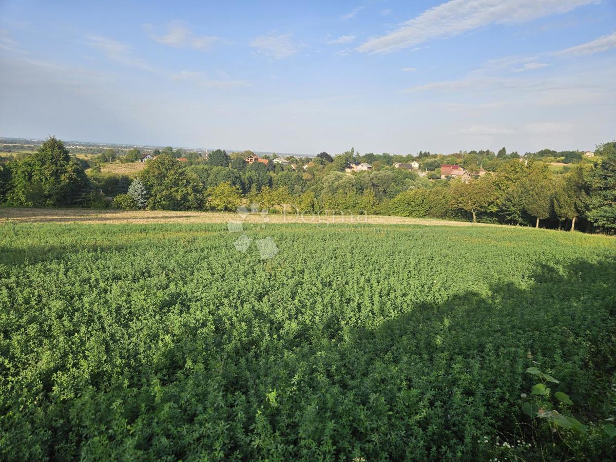 Zazidljivo zemljišče Beretinec, 5.396m2