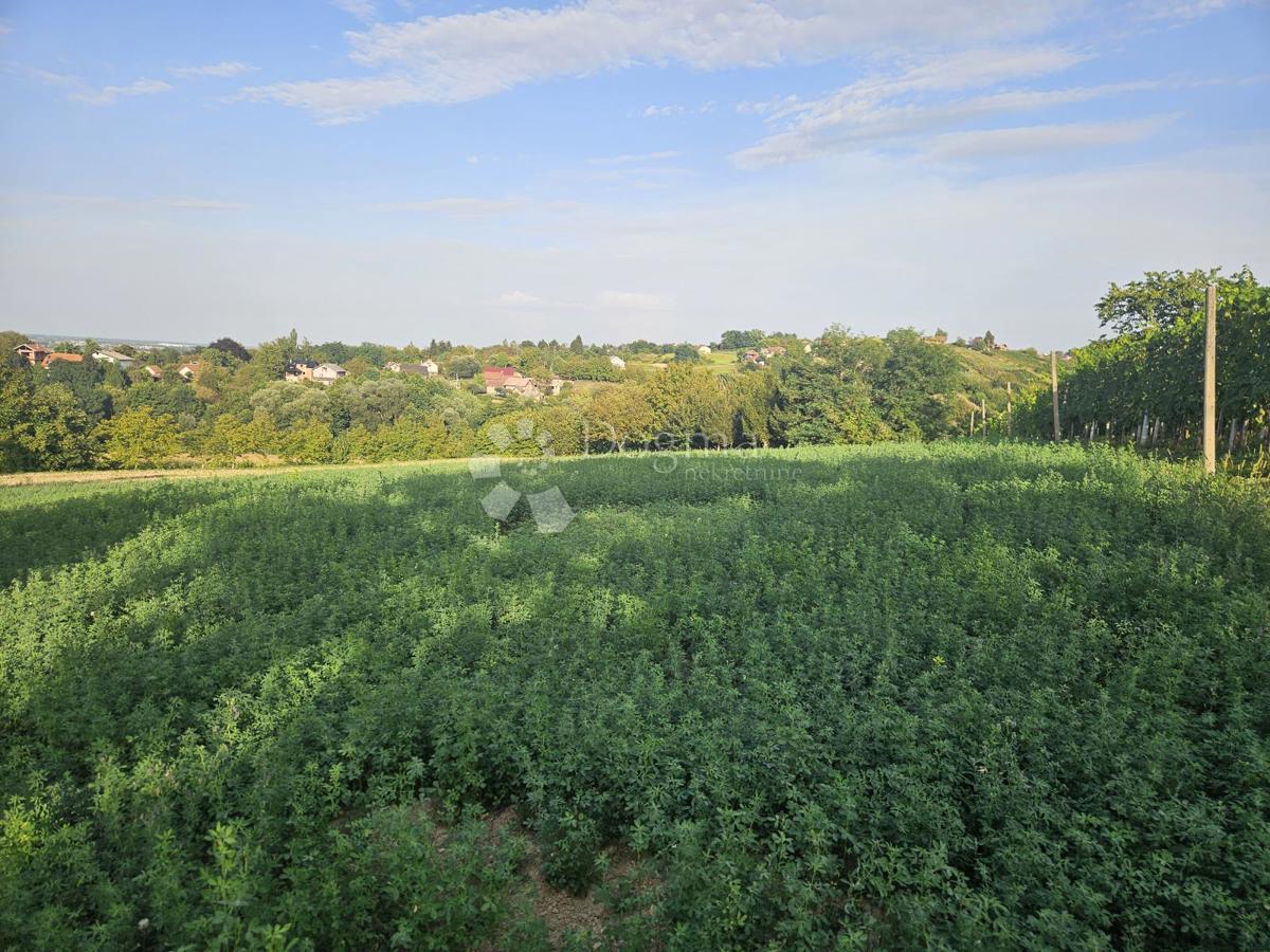 Zazidljivo zemljišče Beretinec, 5.396m2