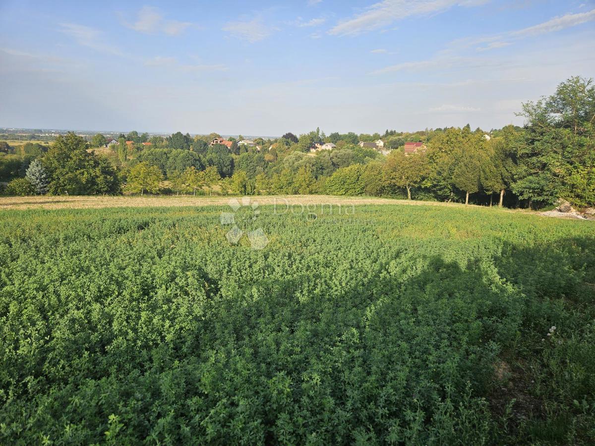 Zazidljivo zemljišče Beretinec, 5.396m2