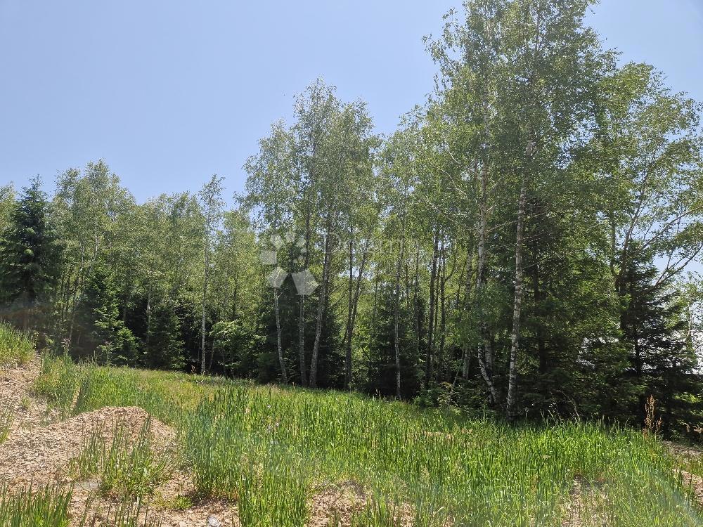 Zazidljivo zemljišče Hlevci, Skrad, 4.450m2