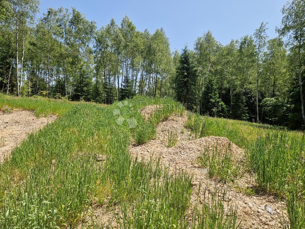 Zazidljivo zemljišče Hlevci, Skrad, 4.450m2