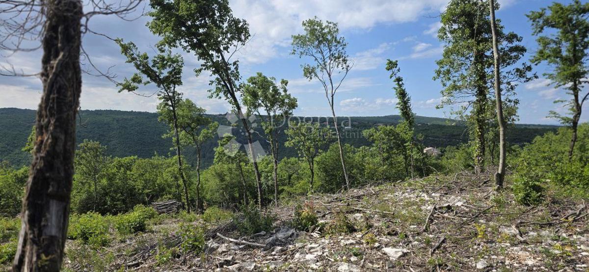 Zazidljivo zemljišče Labin, 2.895m2