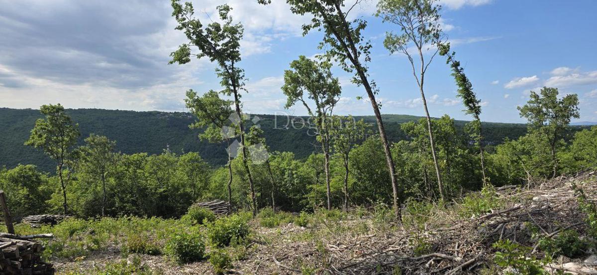 Zazidljivo zemljišče Labin, 2.895m2