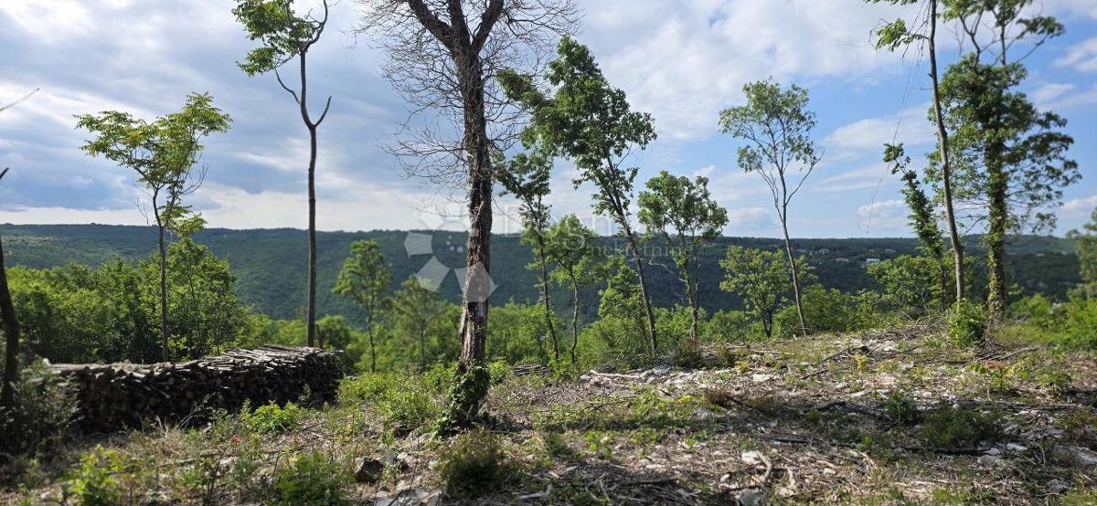 Zazidljivo zemljišče Labin, 2.895m2