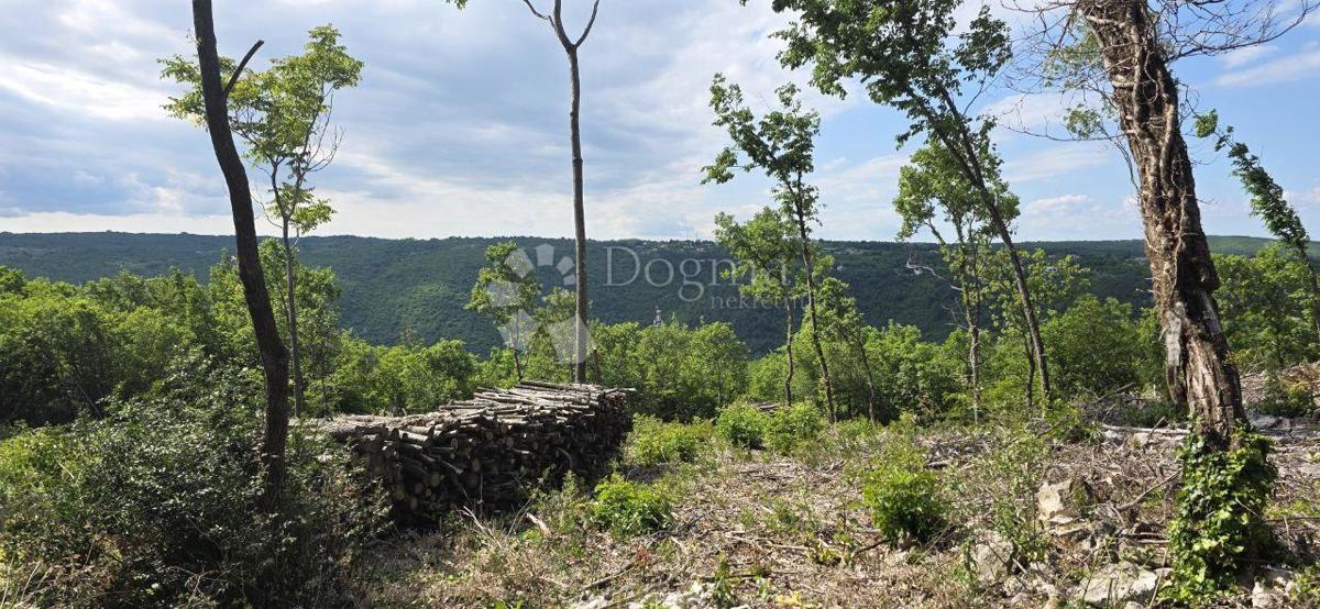 Zazidljivo zemljišče Labin, 2.895m2