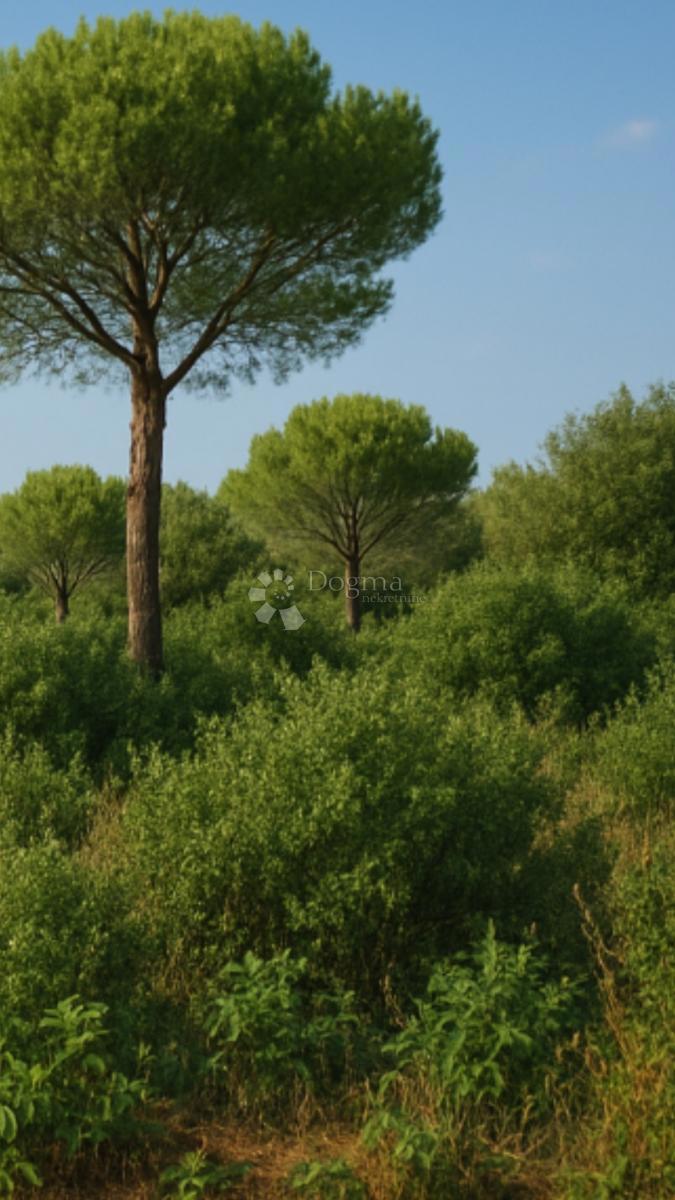 Kmetijsko zemljišče Donje Selo, Šolta, 2.378m2