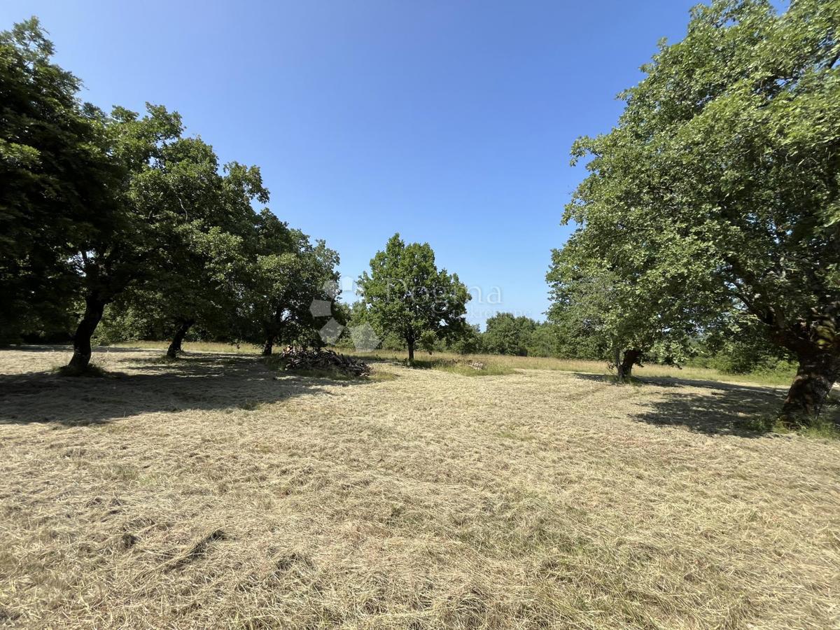 ZEMLJIŠČE S PROJEKTOM ZA GRADNJO HIŠE V BLIŽINI VIŠNJANA
