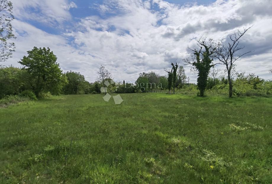 Zemljišče Sveti Ivan, Višnjan, 12.000m2