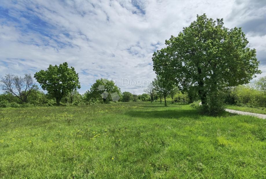 Zemljišče Sveti Ivan, Višnjan, 12.000m2