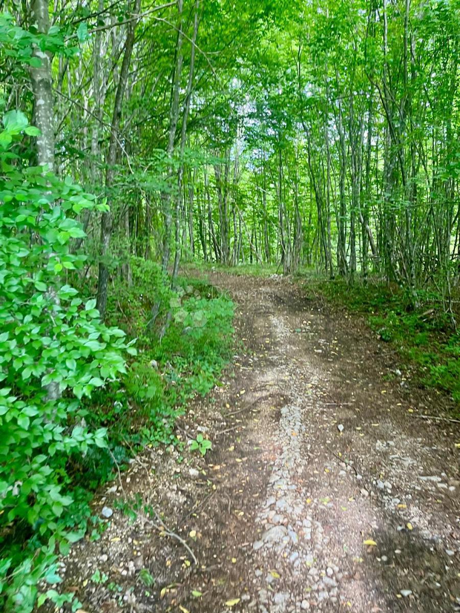 Zazidljivo zemljišče Broćanac, Rakovica, 204.119m2