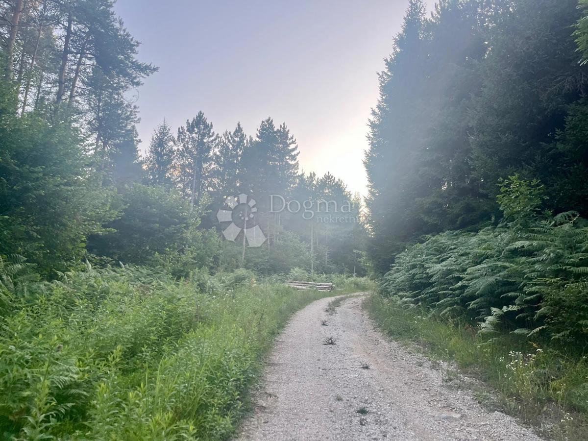 Zazidljivo zemljišče Broćanac, Rakovica, 204.119m2