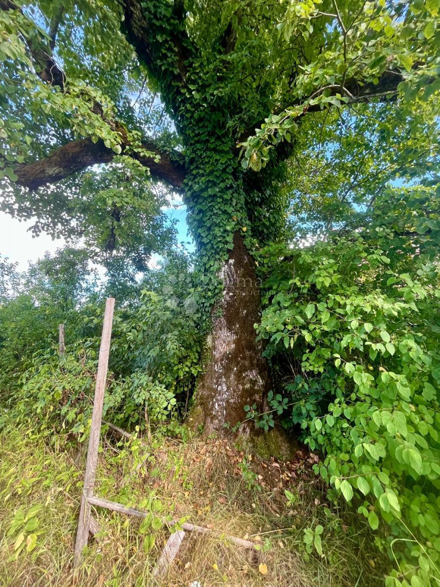 Zazidljivo zemljišče Broćanac, Rakovica, 204.119m2