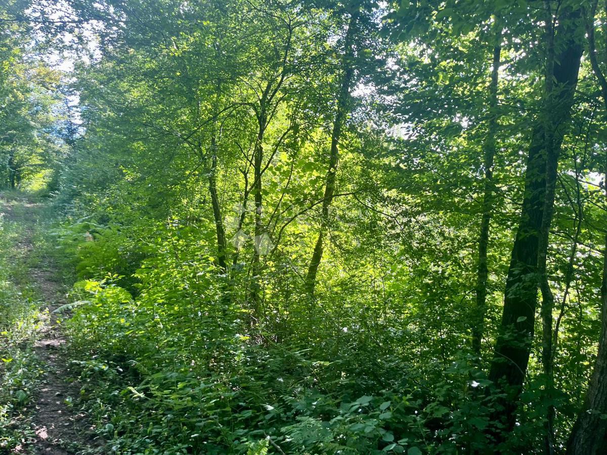 Zazidljivo zemljišče Broćanac, Rakovica, 204.119m2