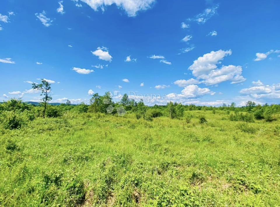 Kmetijsko zemljišče Donje Primišlje, Slunj, 262.000m2